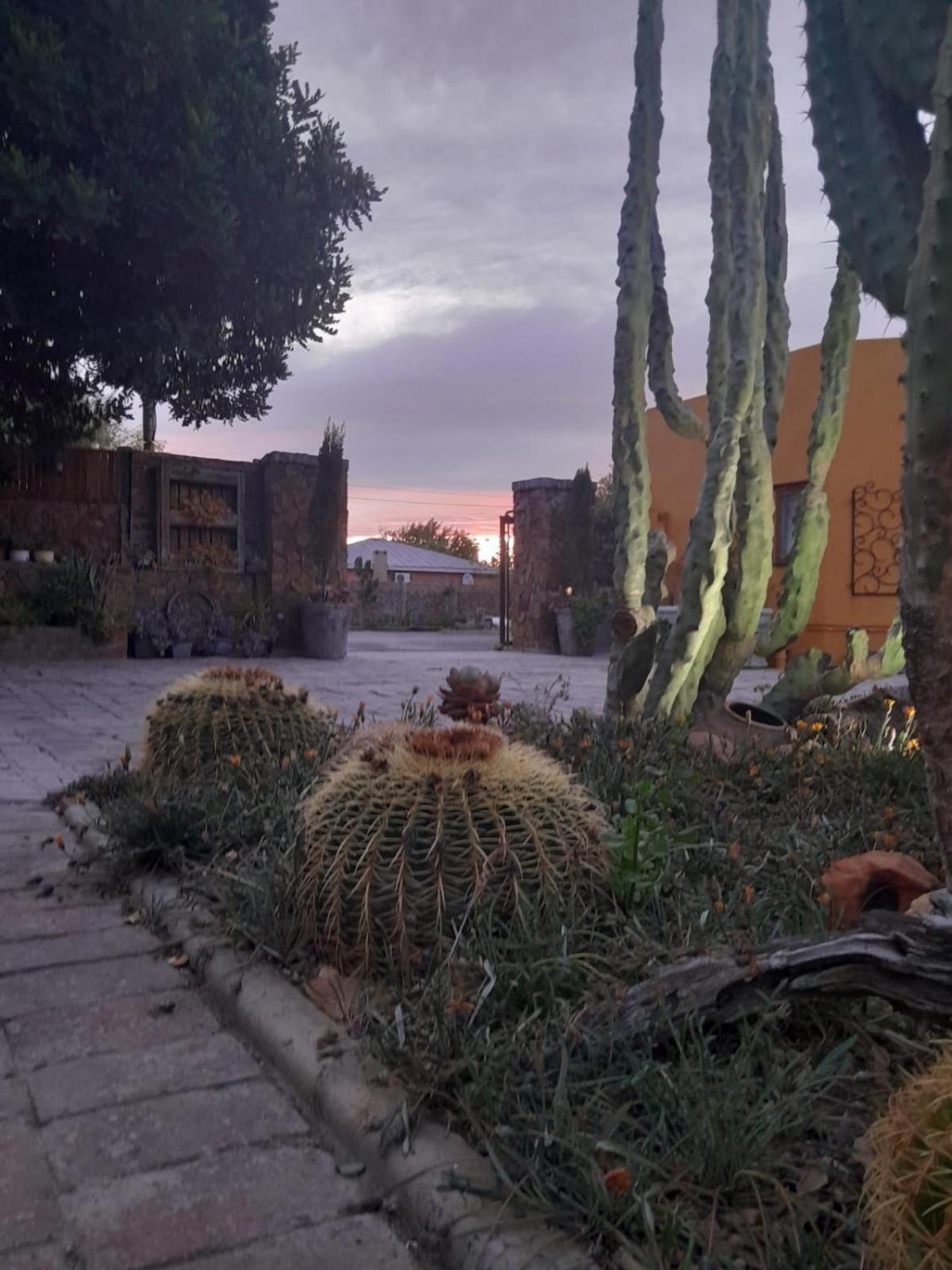 בופורט ווסט Villa Contessa מראה חיצוני תמונה