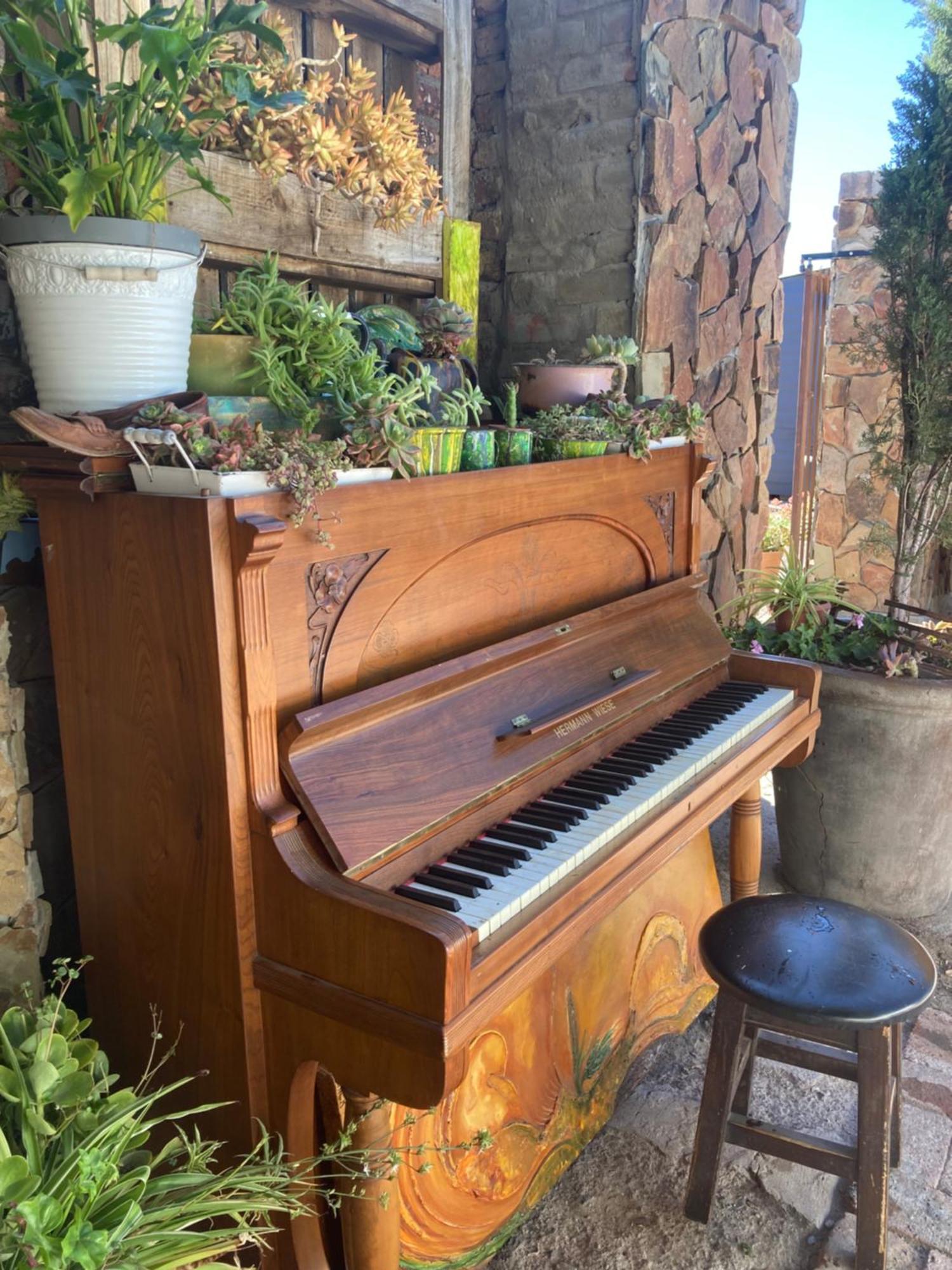 בופורט ווסט Villa Contessa מראה חיצוני תמונה