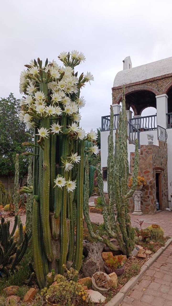 בופורט ווסט Villa Contessa מראה חיצוני תמונה